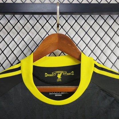 Liverpool 10/11 Third Kit